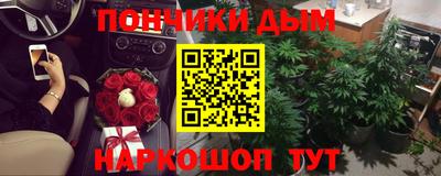 индика Аргун
