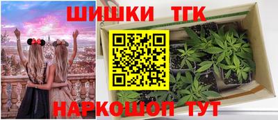 индика Аргун