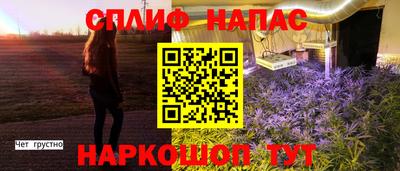 индика Аргун