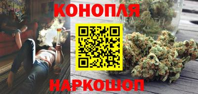 индика Аргун